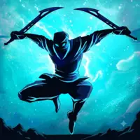 Shadow Ninja Revenge